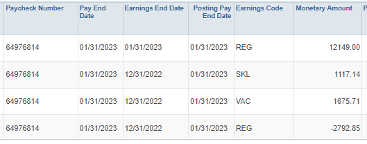Column with Paycheck Number, Pay End Date, Earnings End Date, Posting Pay Date, Earnings Code, etc.